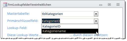 Anzeige der Felder der oben ausgewählten Tabelle per Kombinationsfeld