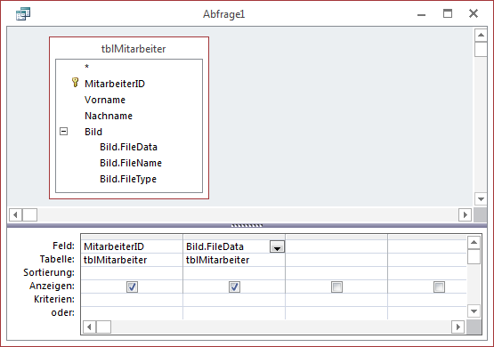 Felder des Recordsets eines Anlagefeldes