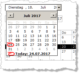 Das Microsoft DateTime-Picker- ActiveX-Steuerelement