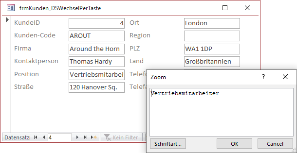 Das Zoom-Fenster von Access