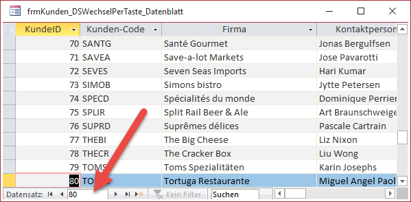 Aktivieren des Feldes zur direkten Eingabe einer Datensatznummer