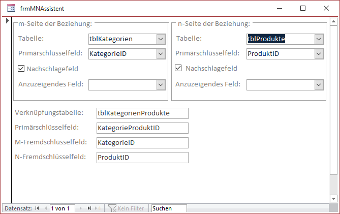 Das Formular frmMNAssistent in der Formularansicht