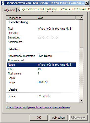 Informationen zu einer MP3-Datei im Eigenschaftendialog des Explorers