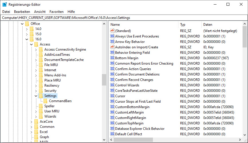 Dieser Bereich der Registry speichert die meisten der Access-Optionen.
