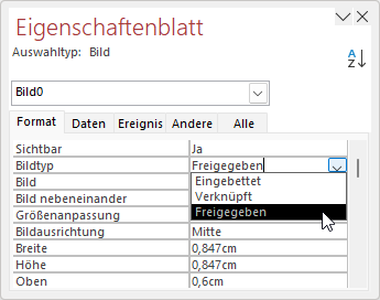Eigenschaften des Bild-Steuerelements