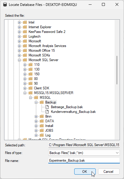 Auswählen des Verzeichnisses und des Dateinamens für das Backup