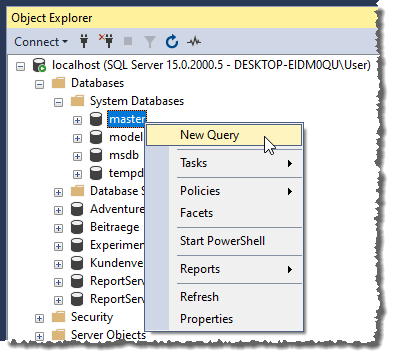 Neue Abfrage für die Master-Datenbank
