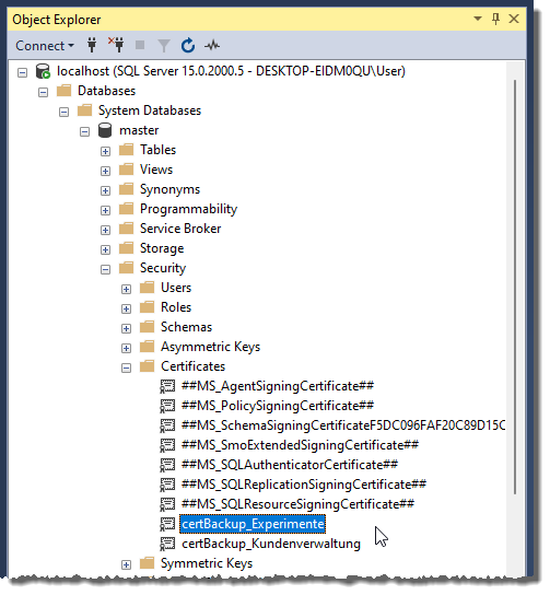 Das Zertifikat im Objekt-Explorer