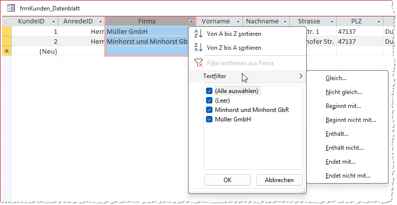 Weitere Filtermöglichkeiten in der Datenblattansicht